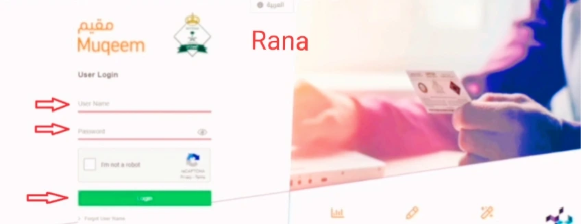 exit re-entry visa